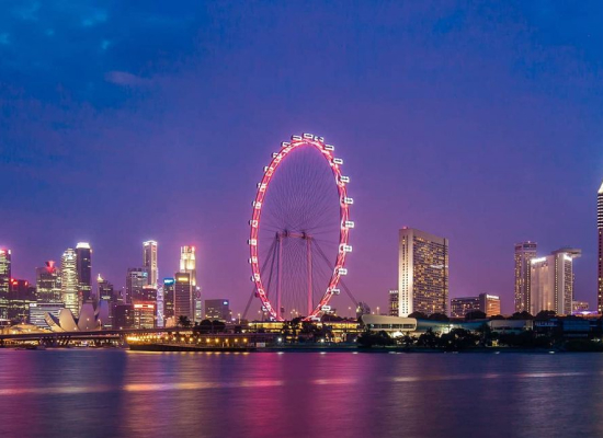 Singapore Flyer 